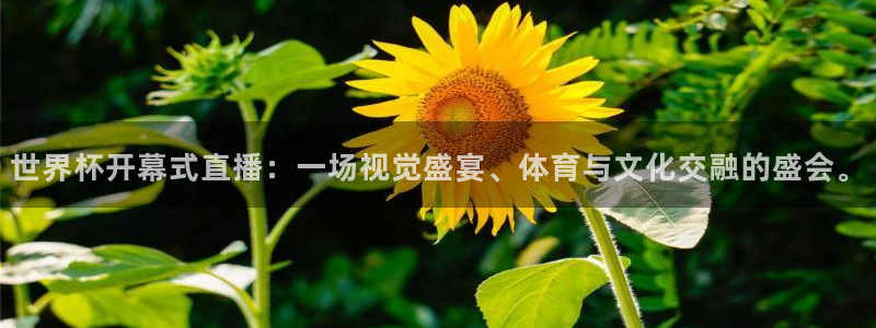 西超杯直播：世界杯开幕式直播：一场视觉盛宴、体育与文化交融的盛会。