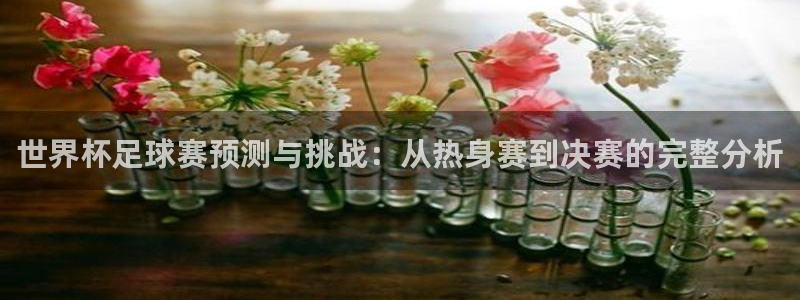 西超杯直播：世界杯足球赛预测与挑战：从热身赛到决赛的完整分析