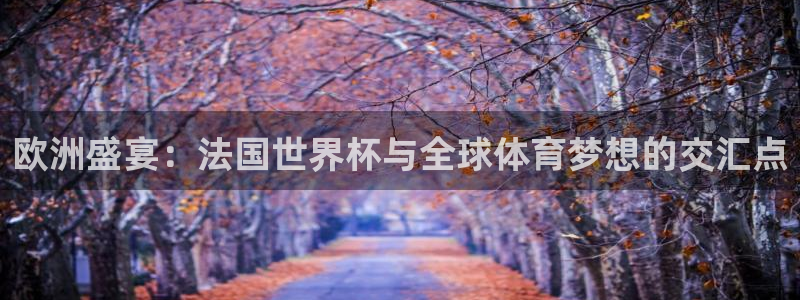 世界杯足球：欧洲盛宴：法国世界杯与全球体育梦想的交汇点