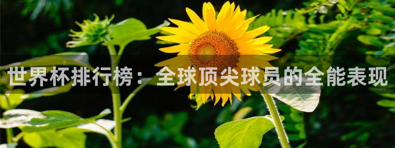 世界杯比赛直播：世界杯排行榜：全球顶尖球员的全能表现