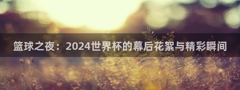 世界杯2026赛程：篮球之夜：2024世界杯的幕后花絮与精彩瞬间