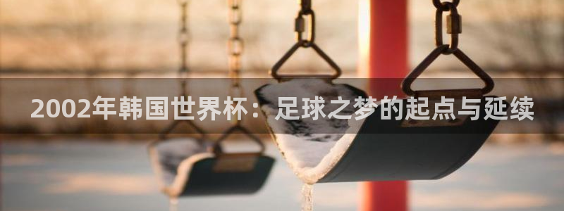 世界杯决赛预测：2002年韩国世界杯：足球之梦的起点与延续