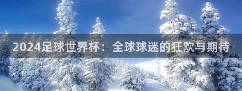 世界杯：2024足球世界杯：全球球迷的狂欢与期待