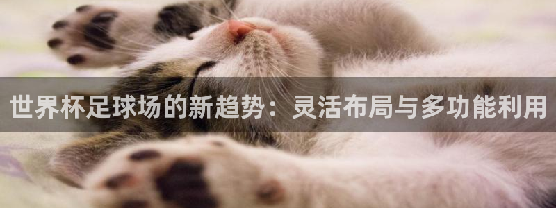 世界杯决赛圈球队：世界杯足球场的新趋势：灵活布局与多功能利用