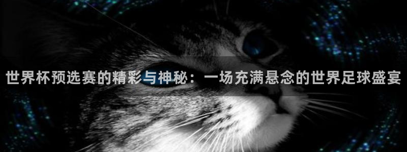 世界杯预选赛亚洲区积分榜：世界杯预选赛的精彩与神秘：一场充满悬念的世界足球盛宴