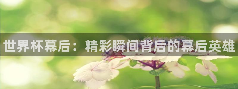 2026世界杯亚洲预选赛赛程：世界杯幕后：精彩瞬间背后的幕后英雄