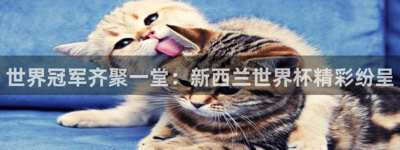 世界杯：世界冠军齐聚一堂：新西兰世界杯精彩纷呈