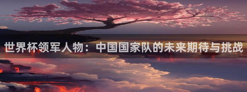 世界杯2026比赛时间表：世界杯领军人物：中国国家队的未来期待与挑战